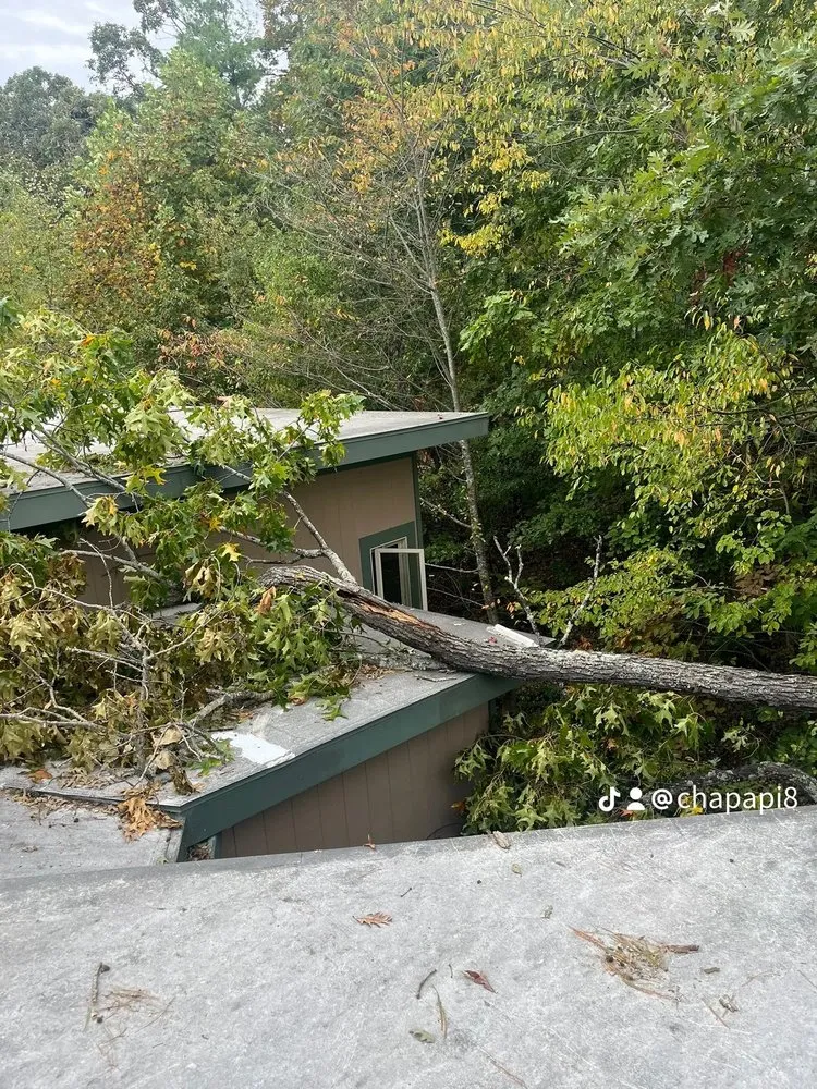 Affordable landscape installation in Fletcher, NC by MC Landscaping