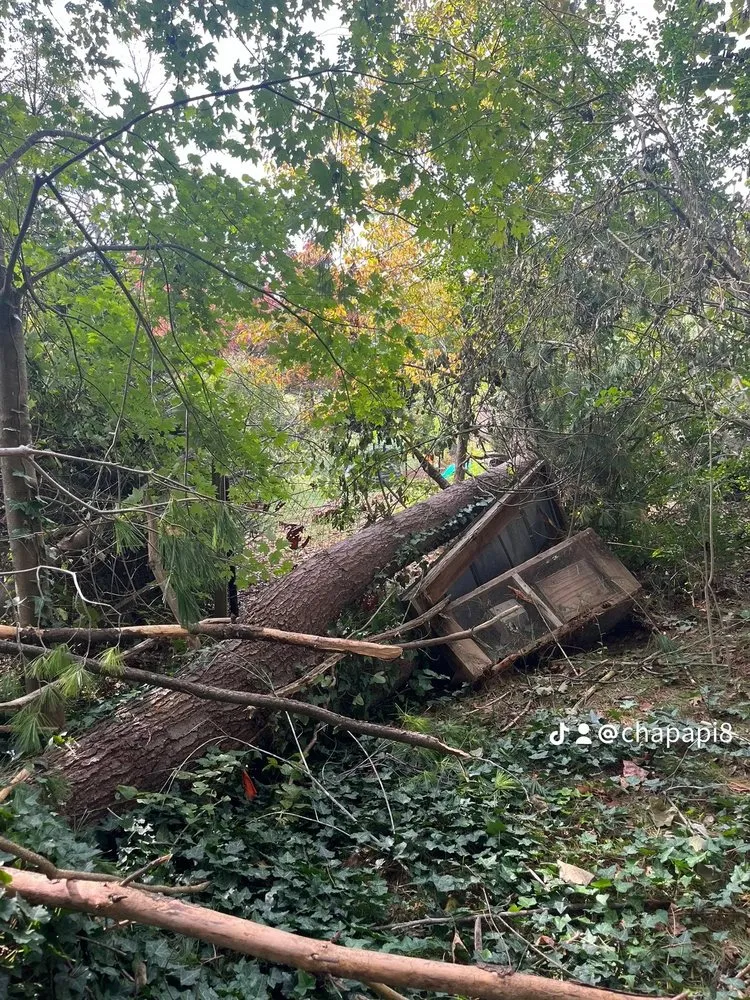 Custom yard maintenance in Fletcher, NC by MC Landscaping