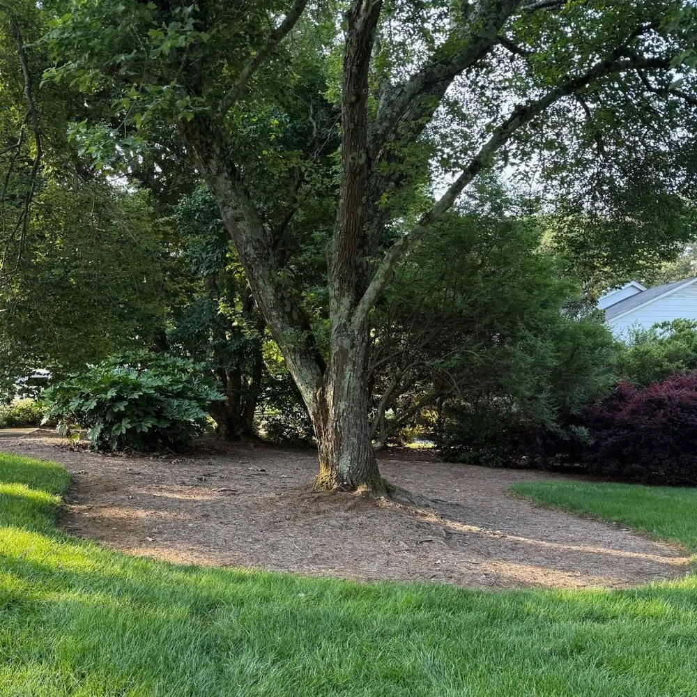 Reliable landscape installation for residential properties in Greer, SC by Mc Landscaping