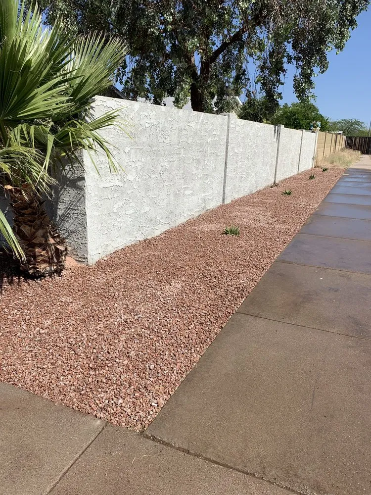 Local lawn care service in Mesa, AZ - MC Landscaping