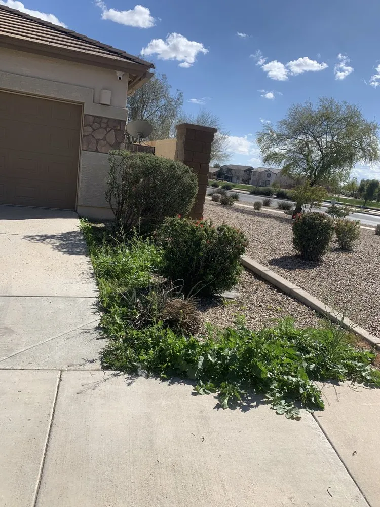 Custom residential landscaping for beautiful yards in Mesa, AZ by MC Landscaping