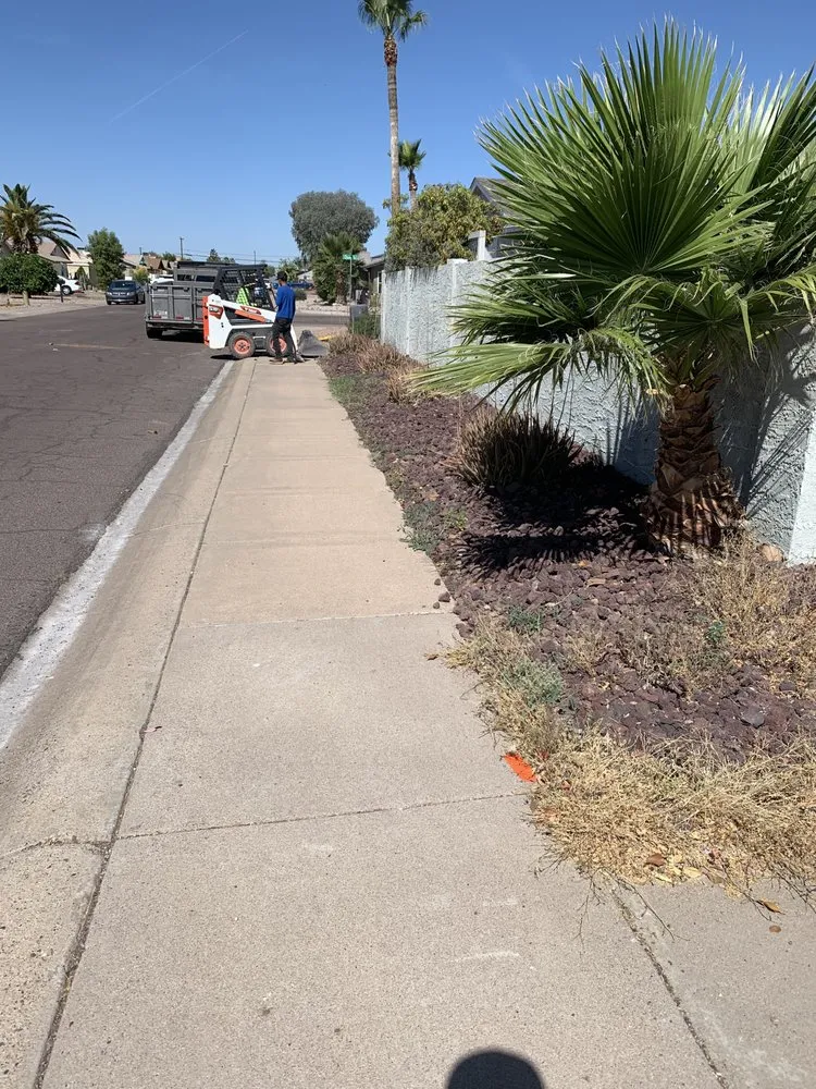 Professional residential landscaping with custom design in Mesa, AZ by MC Landscaping