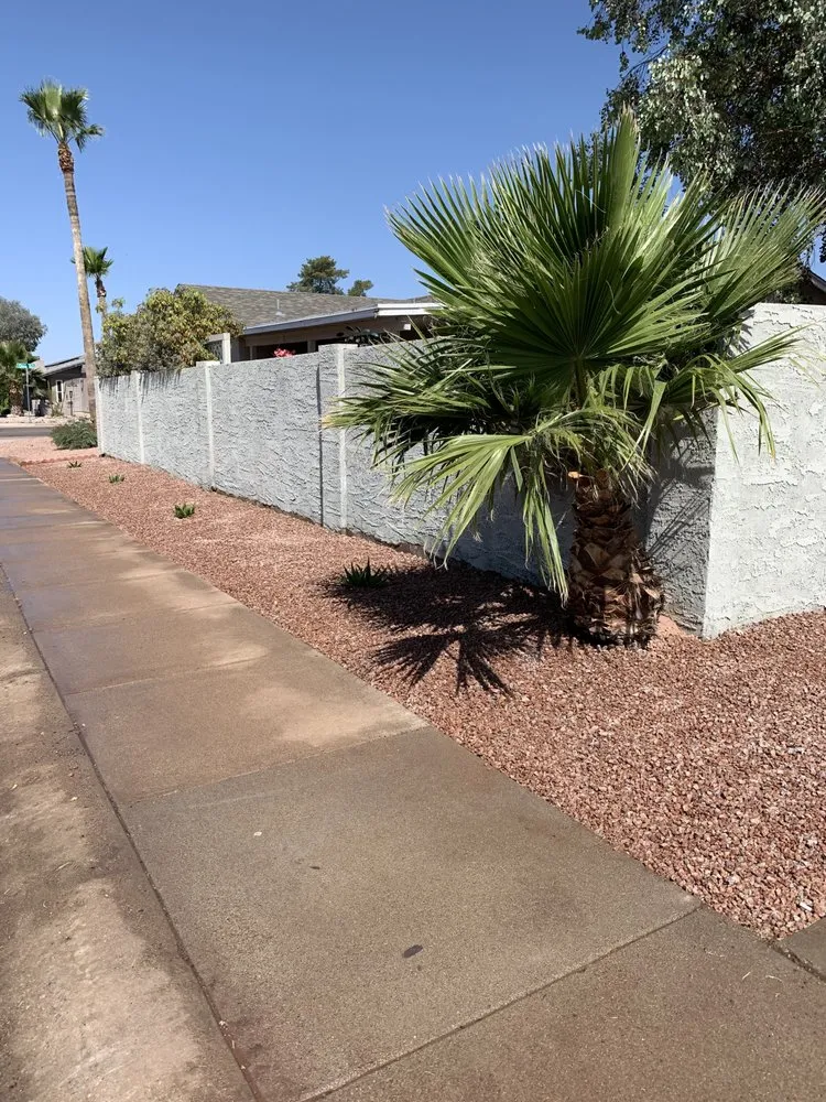 Affordable lawn care service for beautiful yards in Mesa, AZ by MC Landscaping
