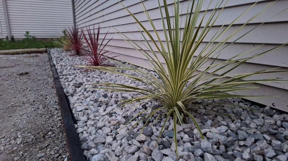 Custom landscape installation experts serving Milwaukee, WI - MC Landscaping