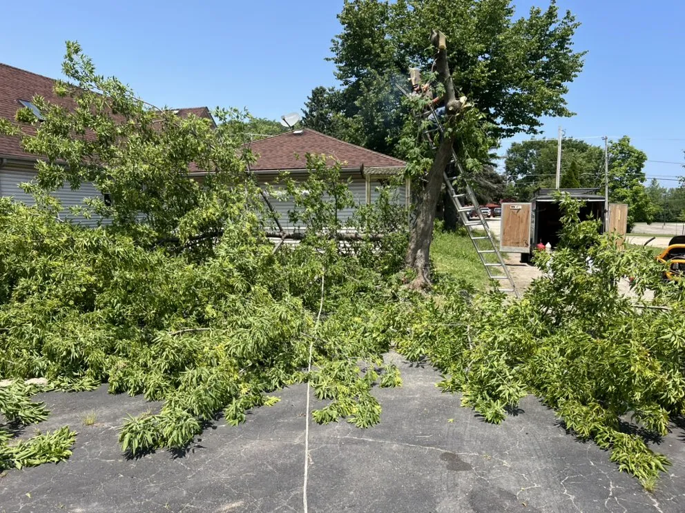 Reliable yard maintenance for year-round maintenance in Milwaukee, WI by MC Landscaping