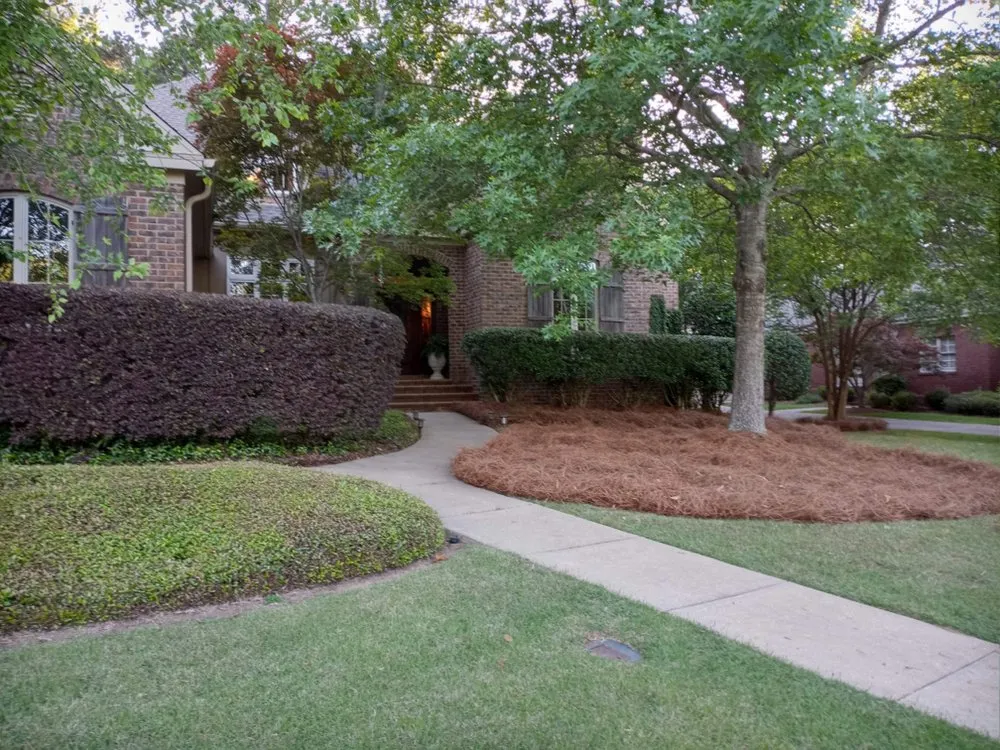 Local lawn care service experts serving Montgomery, AL - M&C Landscaping