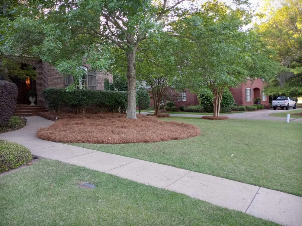 Local yard cleanup service with custom design across Montgomery, AL - M&C Landscaping