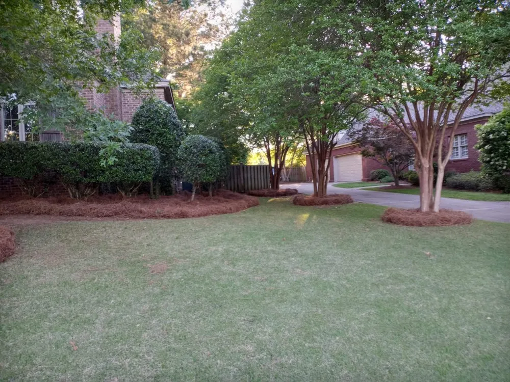 Reliable yard cleanup service experts serving Montgomery, AL - M&C Landscaping
