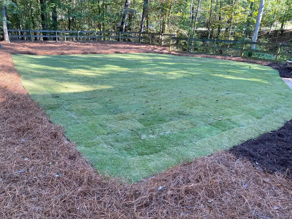 Local lawn care service in Newborn, GA - MC Landscaping