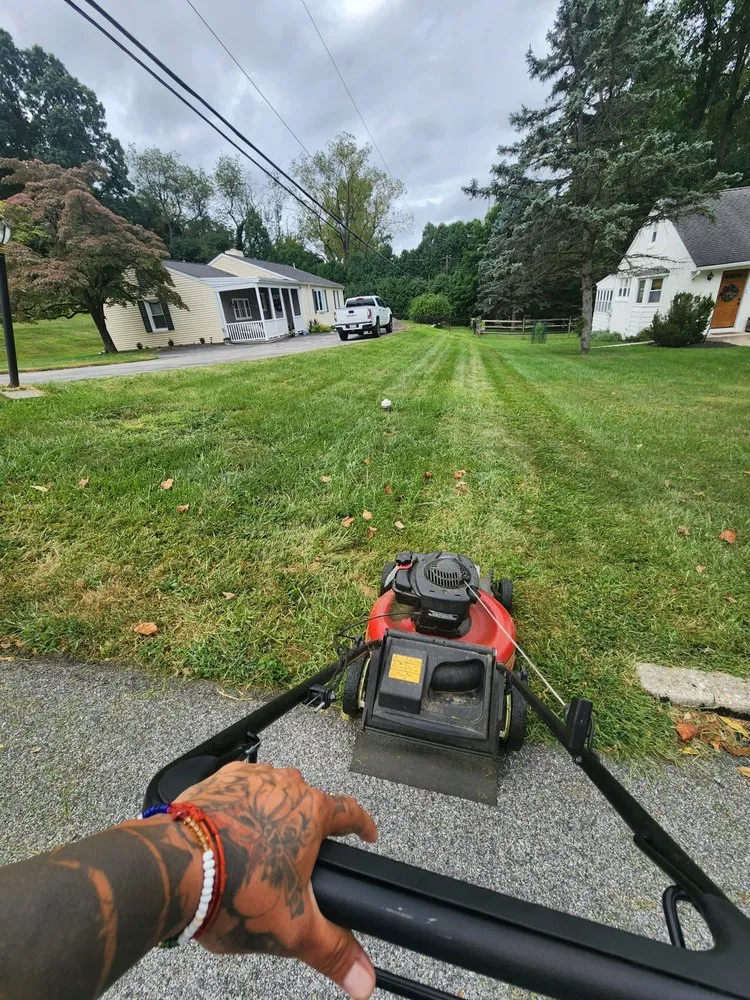 Affordable landscape installation experts serving Philadelphia, PA - MC Landscaping Services