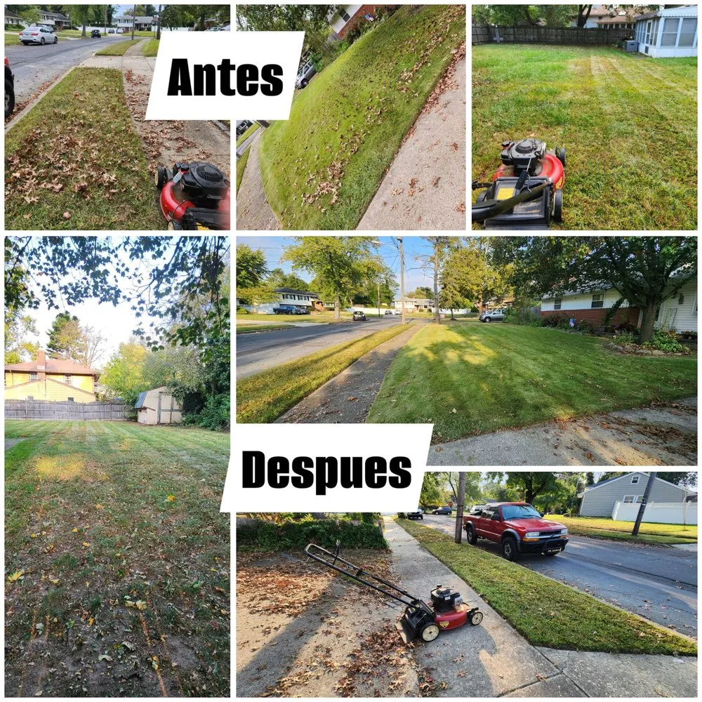Local yard cleanup service experts serving Philadelphia, PA - MC Landscaping Services