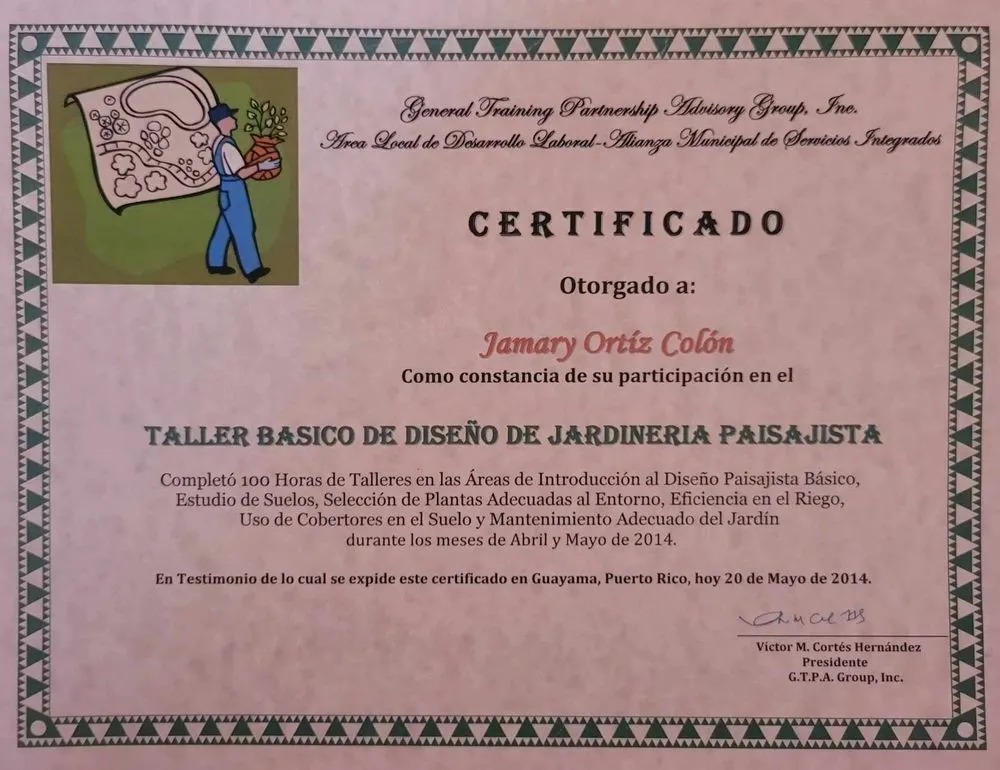 Affordable outdoor landscaping for year-round maintenance in Philadelphia, PA by MC Landscaping Services