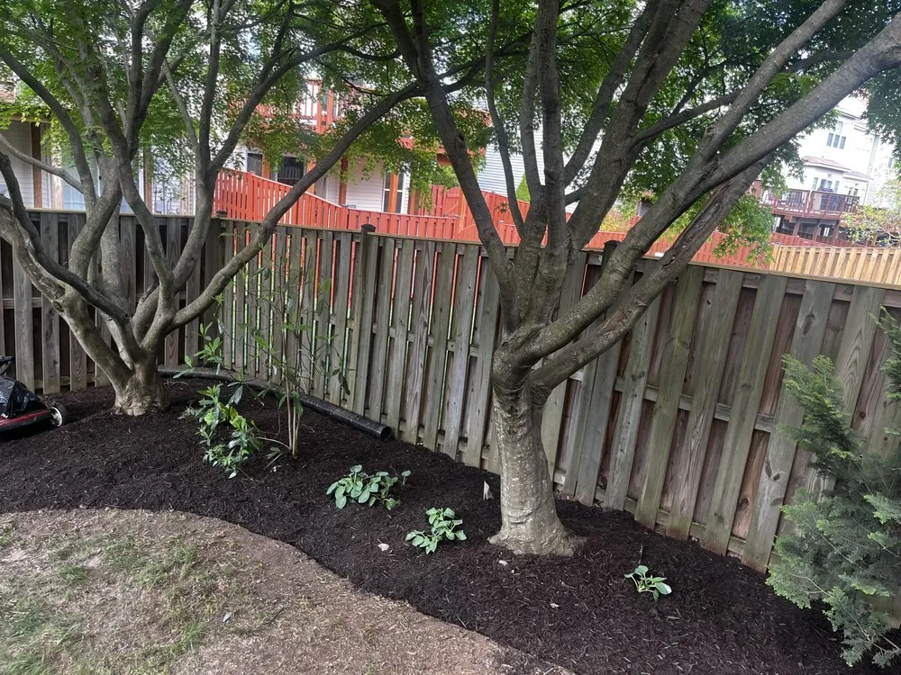 Local outdoor landscaping in Springfield, VA - MC Landscaping