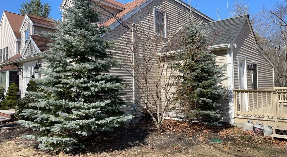 Expert garden landscaping for beautiful yards in Winchester, MA by MC Landscaping