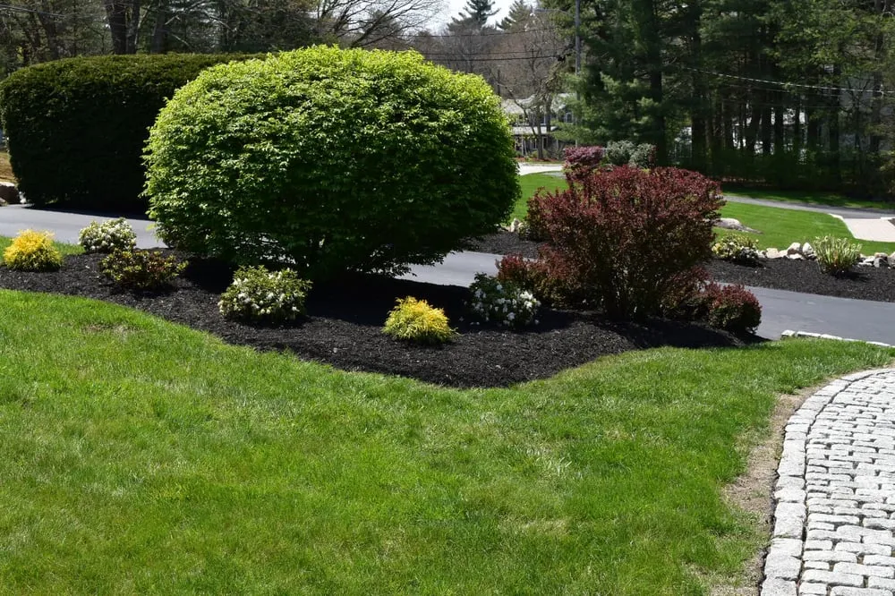 Top-rated outdoor landscaping for year-round maintenance in Winchester, MA by MC Landscaping