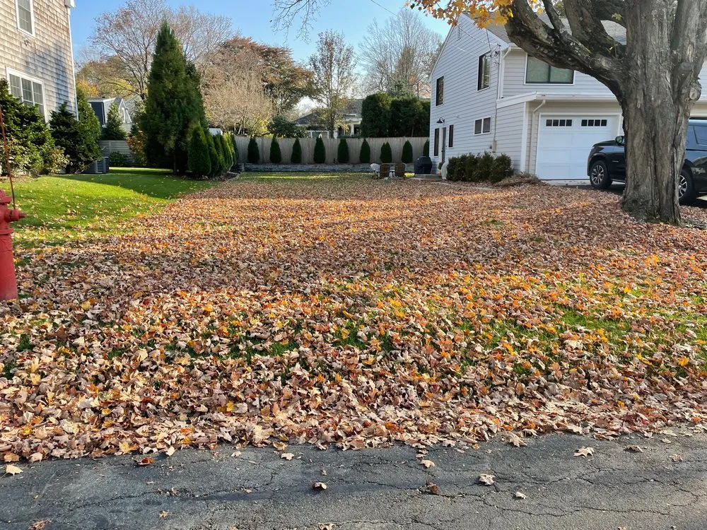 Expert landscape design in Winchester, MA - MC Landscaping