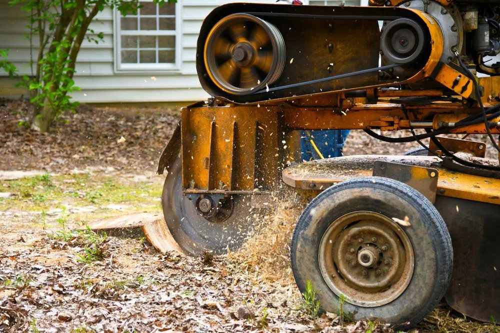 Top-rated landscape installation experts serving Jackson Center, PA - M&C Lawn & Tree Service