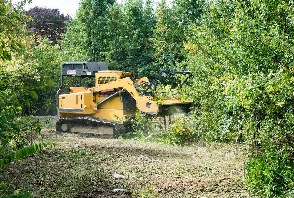 Local lawn mowing service in Jackson Center, PA - M&C Lawn & Tree Service
