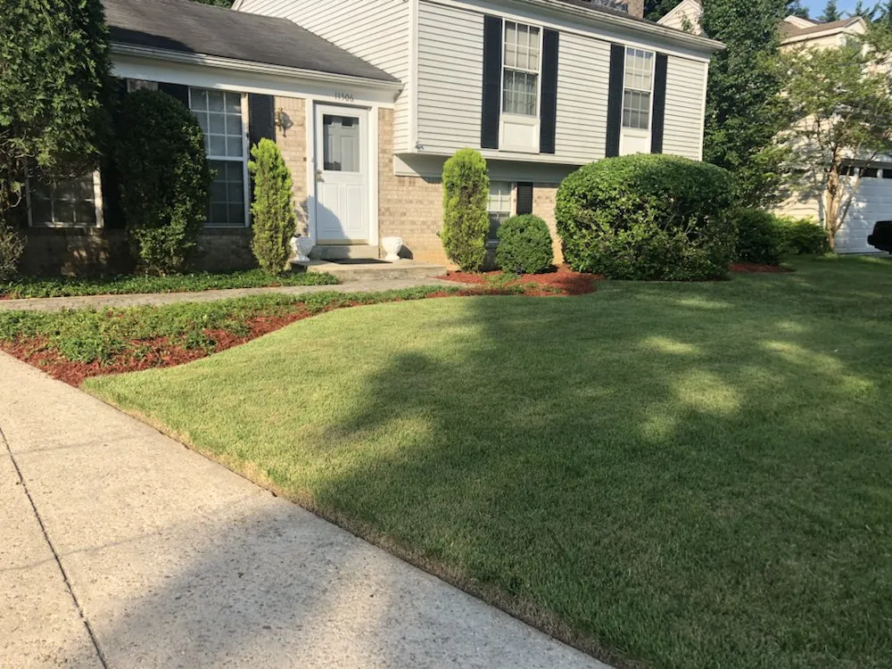 Trusted lawn care service experts serving Silver Spring, MD - M&C Lawn Care and Property Management