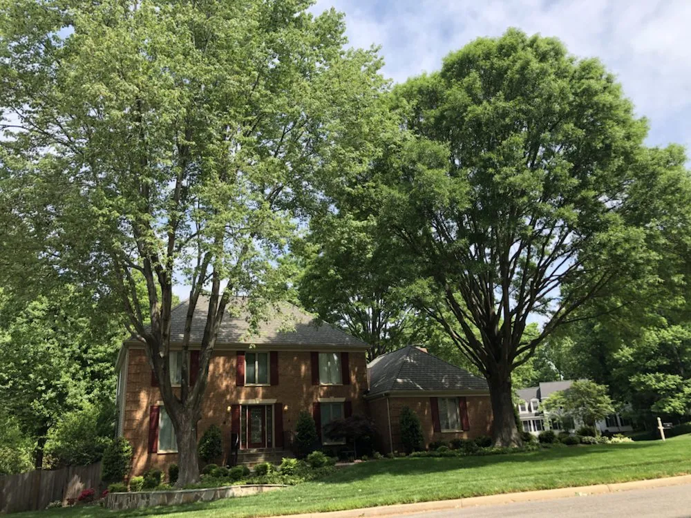 Affordable lawn care service with custom design across Silver Spring, MD - M&C Lawn Care and Property Management