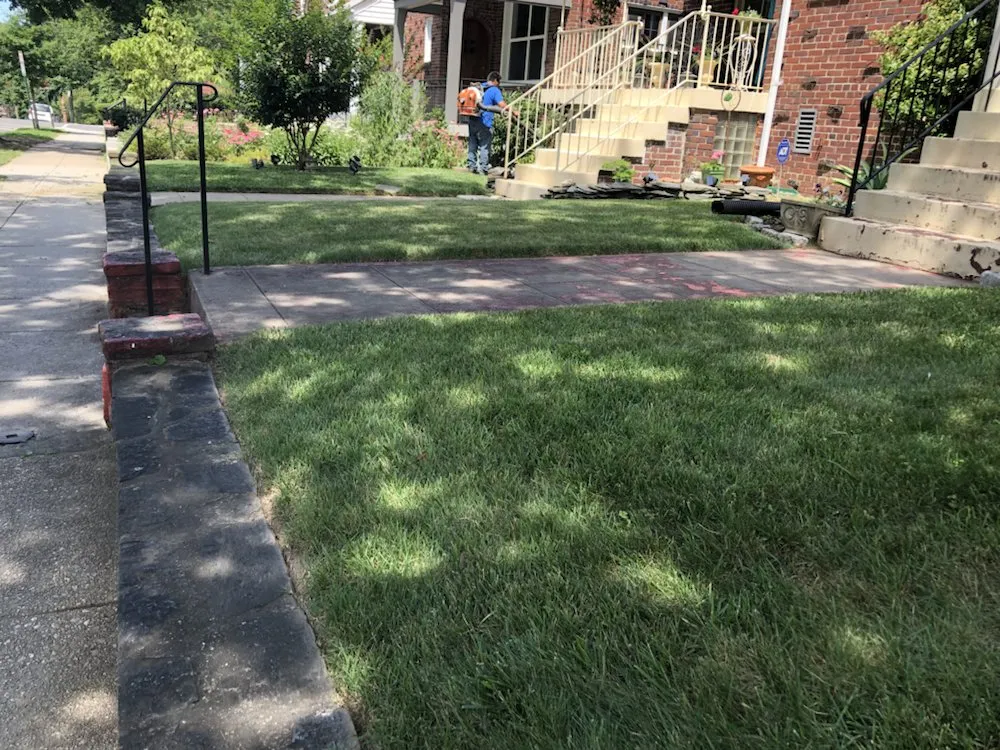 Local landscaping services near you in Silver Spring, MD by M&C Lawn Care and Property Management