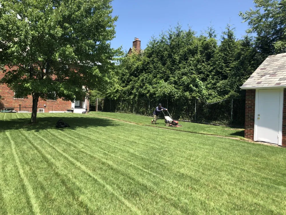 Local landscape design in Silver Spring, MD by M&C Lawn Care and Property Management