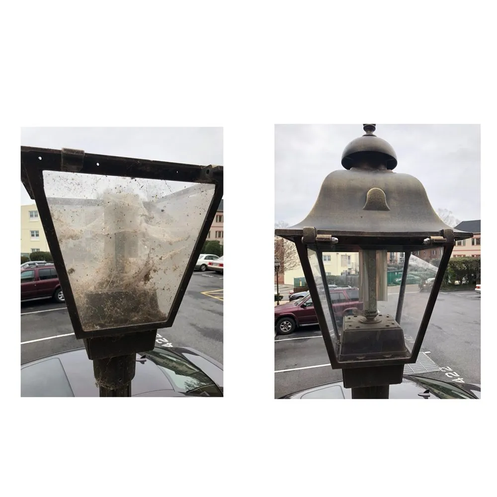 Expert yard maintenance for residential properties across Silver Spring, MD - M&C Lawn Care and Property Management