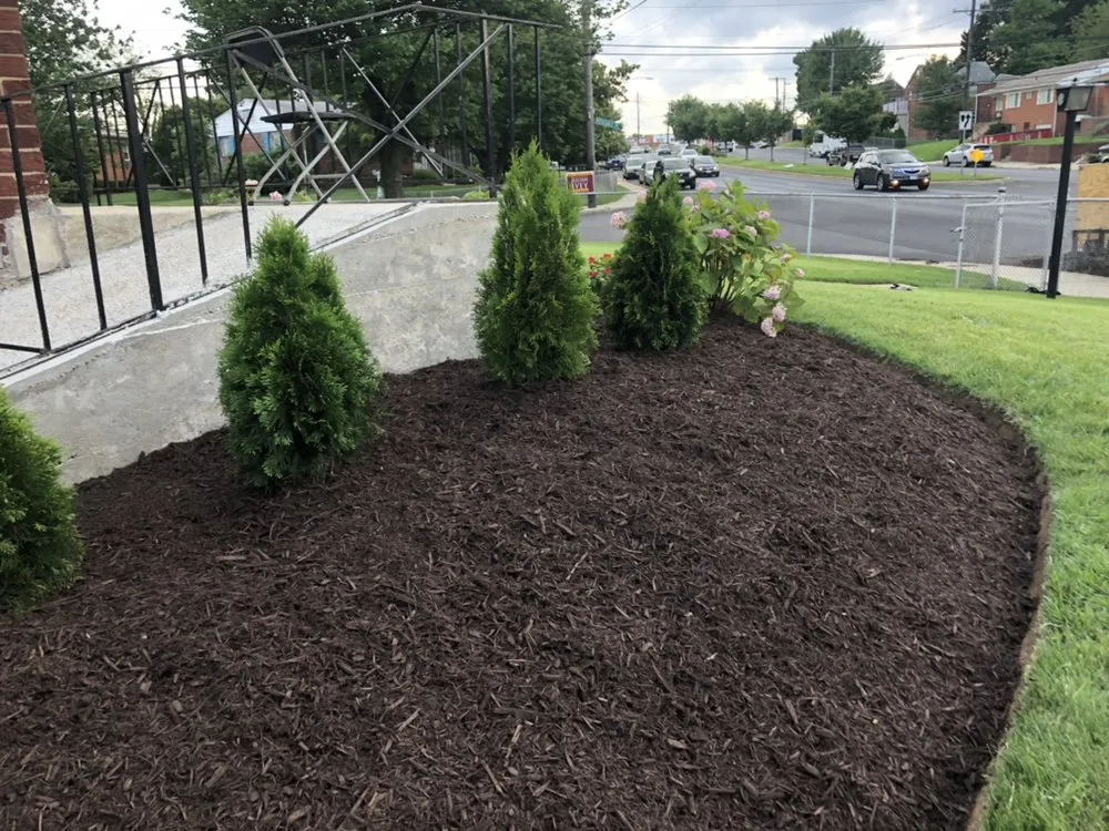 Professional residential landscaping for outdoor upgrades across Silver Spring, MD - M&C Lawn Care and Property Management