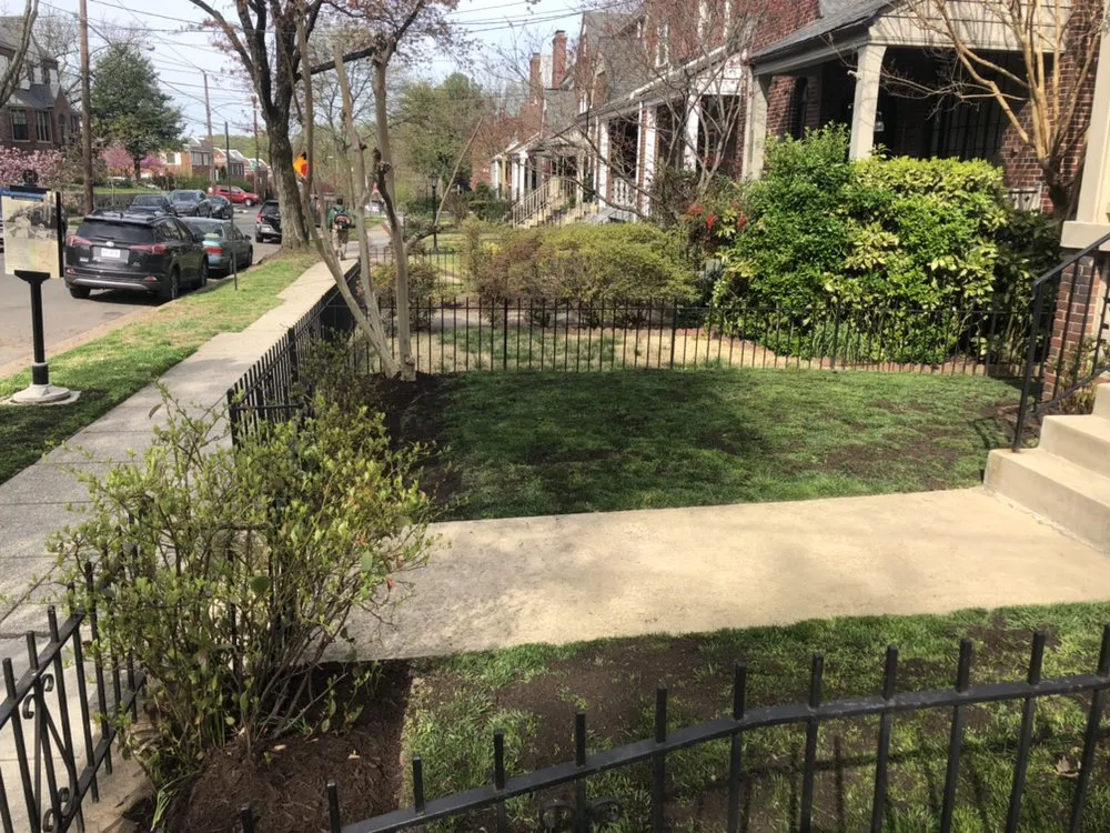 Reliable lawn mowing service experts serving Silver Spring, MD - M&C Lawn Care and Property Management