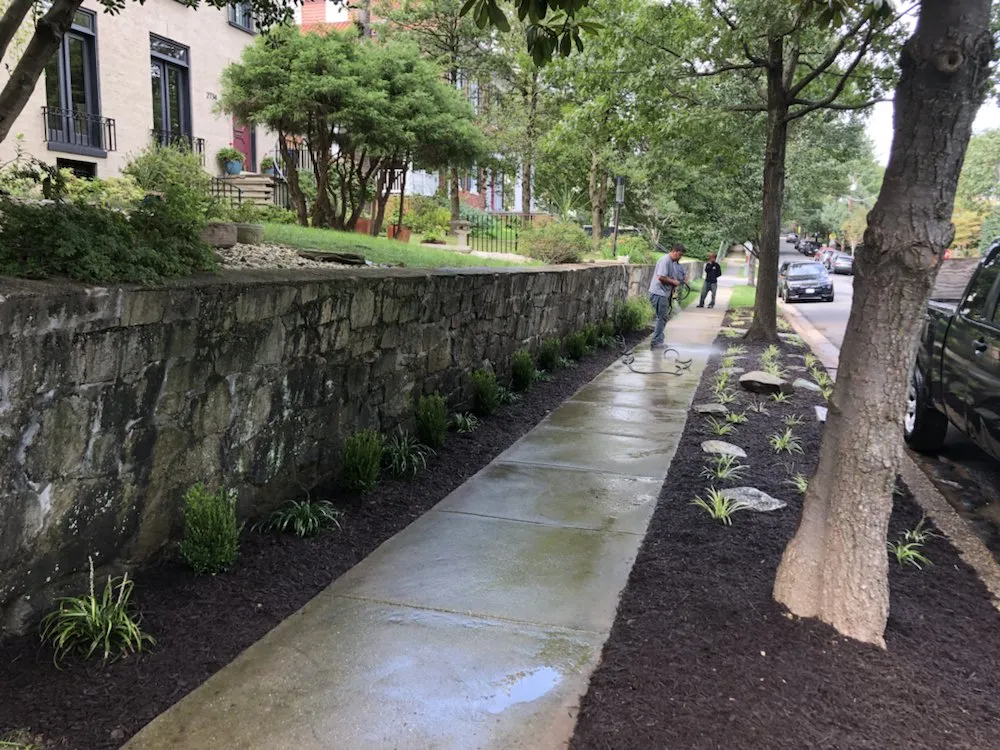 Professional lawn mowing service in Silver Spring, MD - M&C Lawn Care and Property Management