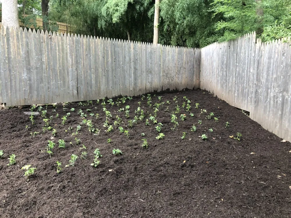 Custom outdoor landscaping for beautiful yards in Silver Spring, MD by M&C Lawn Care and Property Management