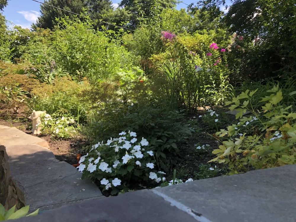 Expert landscape installation for year-round maintenance across Silver Spring, MD - M&C Lawn Care and Property Management