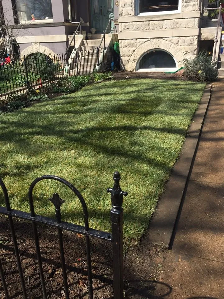 Top-rated outdoor landscaping experts serving Silver Spring, MD - M&C Lawn Care and Property Management
