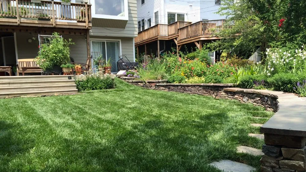 Local residential landscaping in Silver Spring, MD - M&C Lawn Care and Property Management