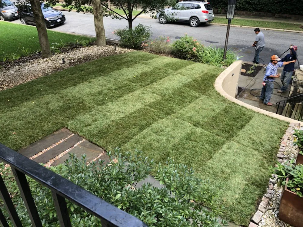 Custom landscaping services in Silver Spring, MD by M&C Lawn Care and Property Management