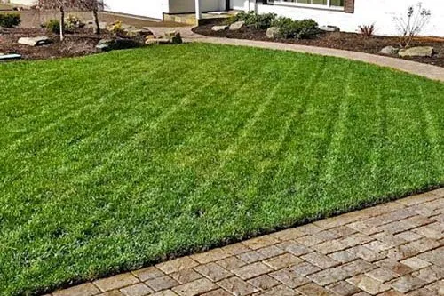 Reliable residential landscaping in Indianapolis, IN - MC Lawn Care