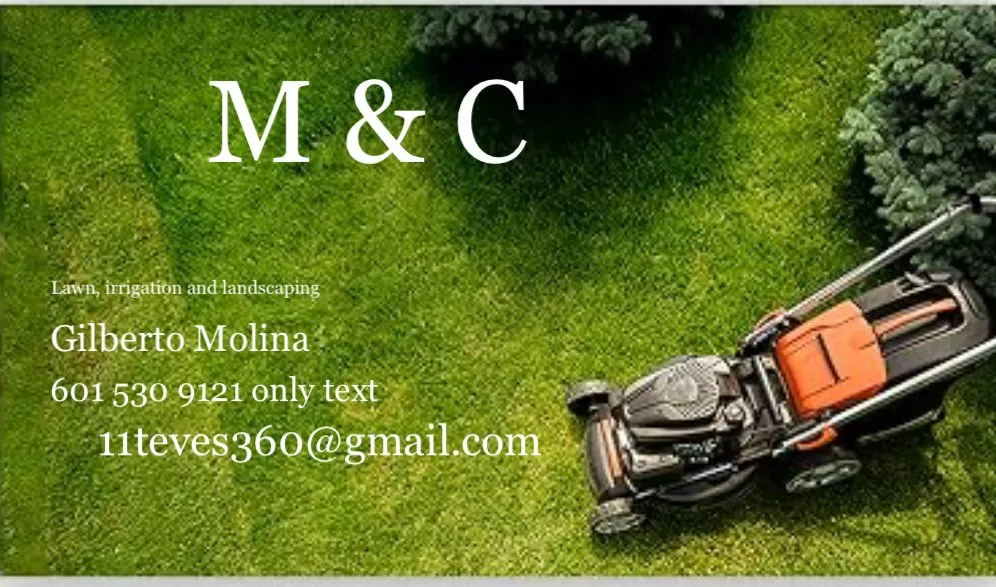 Local yard cleanup service in Hattiesburg, MS - M&C lawn