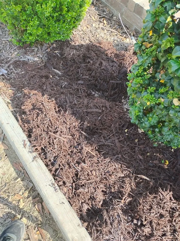 Trusted residential landscaping in Hamlet, NC by MC Lawn Service & More