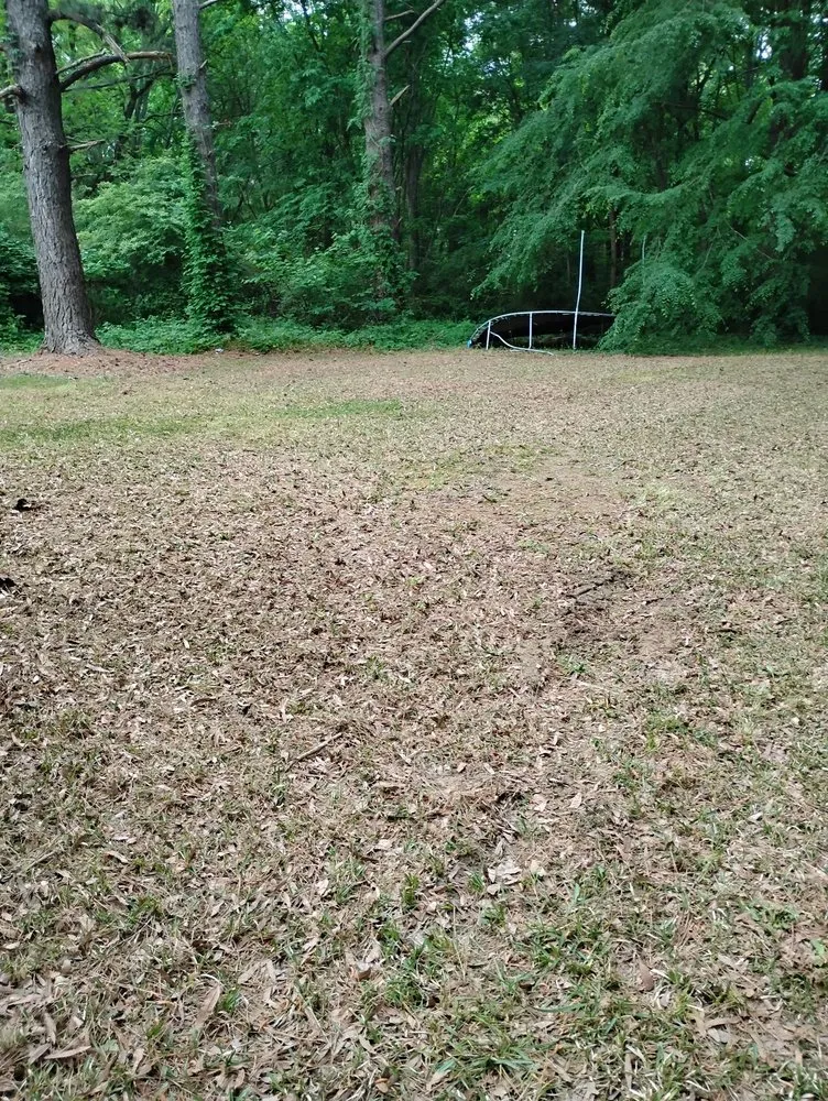 Top-rated residential landscaping experts serving Hamlet, NC - MC Lawn Service & More