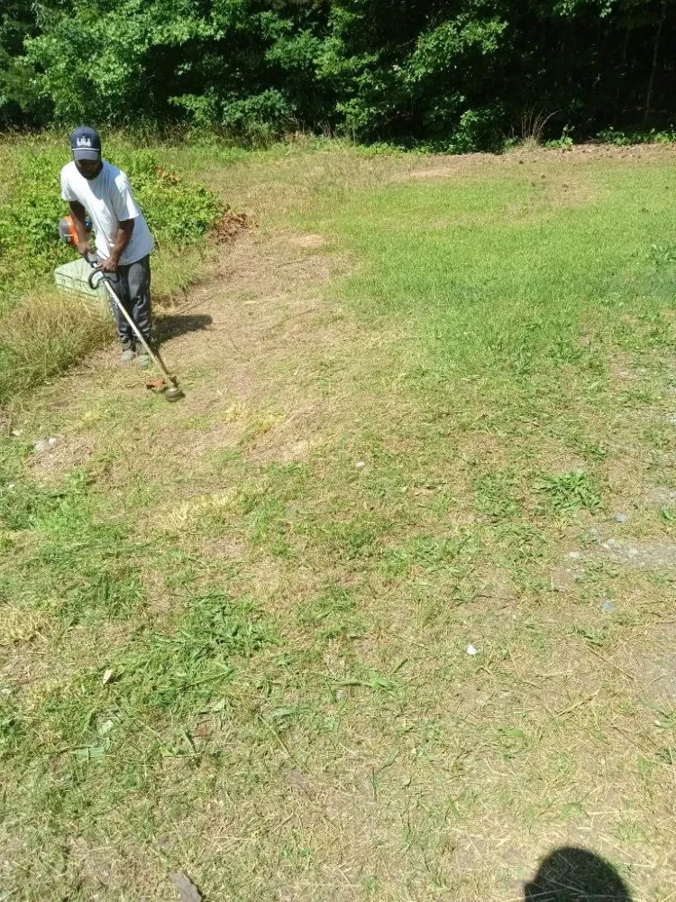 Top-rated lawn care service for year-round maintenance in Hamlet, NC by MC Lawn Service & More