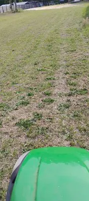 MC Lawn Service & More