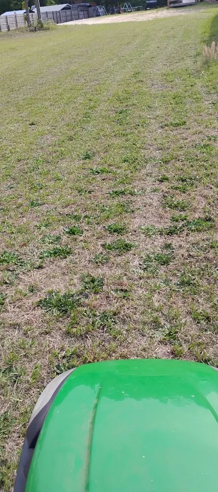 Trusted landscaping services for residential properties across Hamlet, NC - MC Lawn Services & More