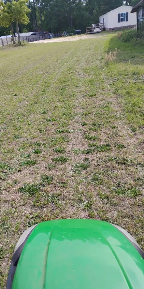 Professional yard maintenance in Hamlet, NC by MC Lawn Services & More