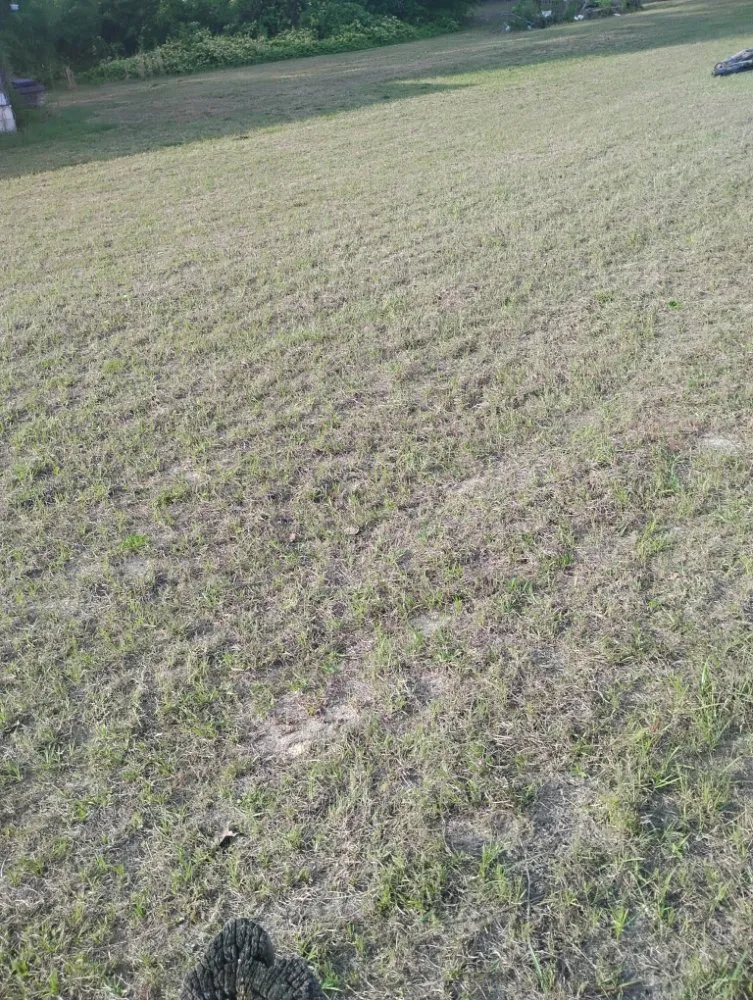 Trusted lawn care service in Hamlet, NC by MC Lawn Services & More