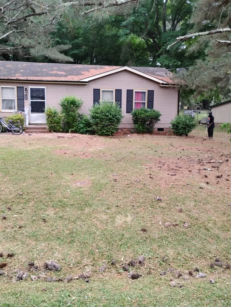 Reliable yard maintenance in Hamlet, NC by MC Lawn Services & More