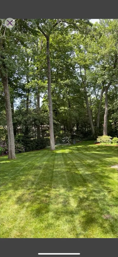 Reliable landscape design in Worcester, MA - MC Lawn