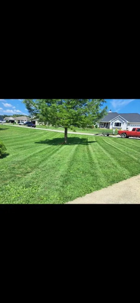 Trusted yard cleanup service for year-round maintenance across Foristell, MO - MC Lawncare