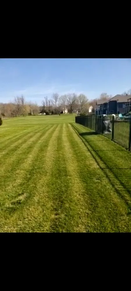 Reliable lawn care service near you in Foristell, MO by MC Lawncare