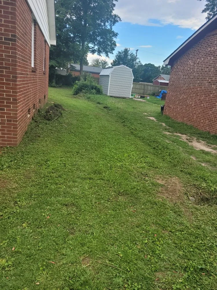 Professional landscaping services experts serving Fayetteville, NC - M.C. lawncre/Home improvement