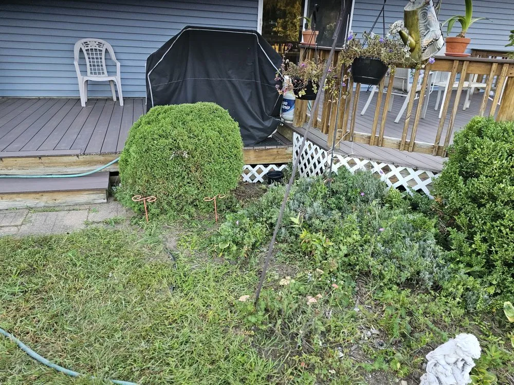 Top-rated yard cleanup service for homes in Mount Pleasant, MI by Mc Lellan Lawn Care